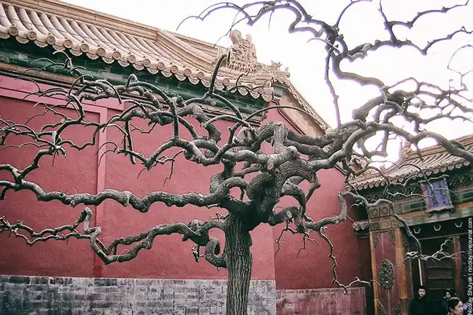 Прогулка по Пекину 2006 года