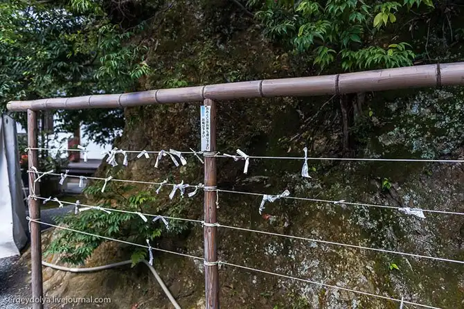 Экскурсия по буддийскому Золотому храму