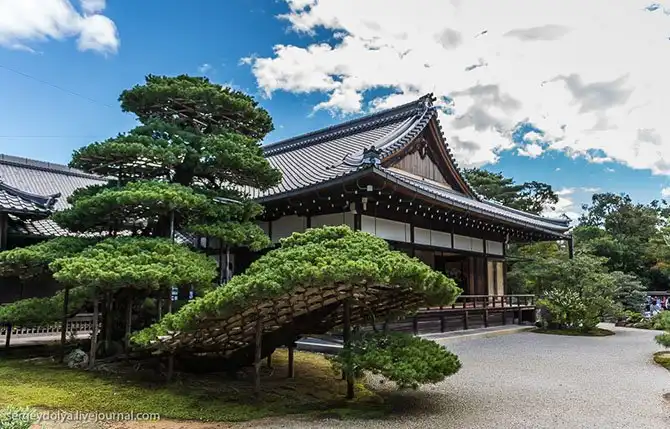 Экскурсия по буддийскому Золотому храму