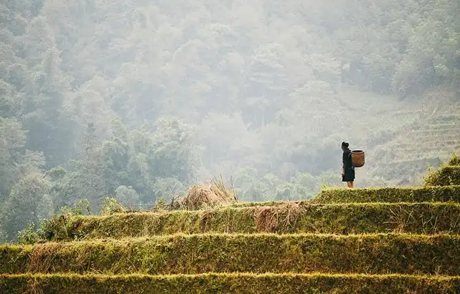 Рейтинг стран-спамеров