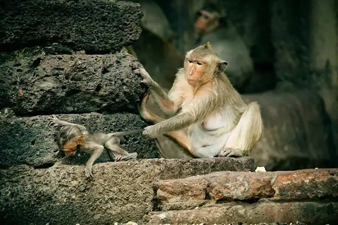 30 мест которые нужно посетить в Таиланде