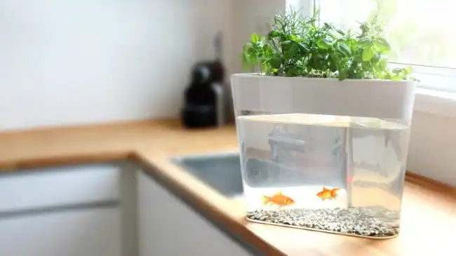 20 вещей для дома, которые превращают быт в игру