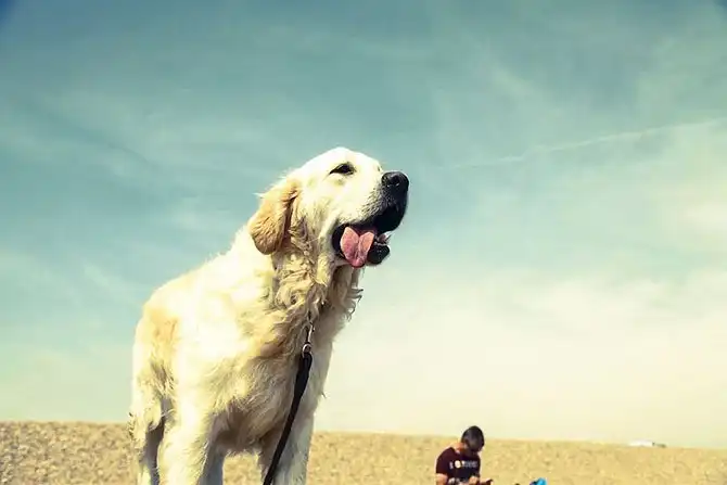 Победители Travel Photographer of the Year 2014