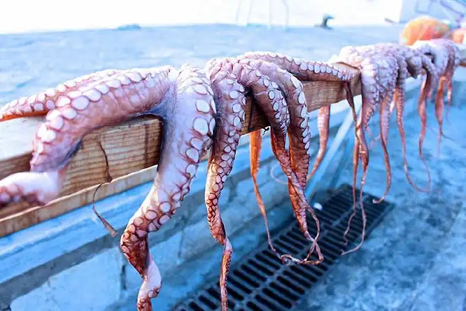 Победители Travel Photographer of the Year 2014