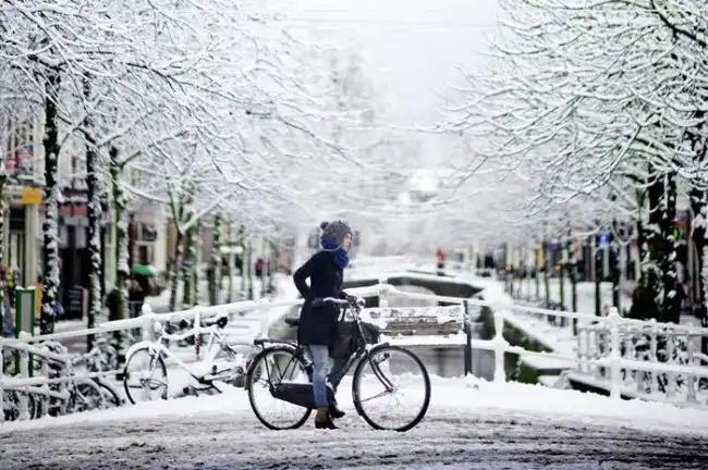 Чем заняться в новогодние каникулы