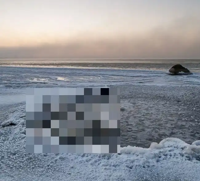 Удивительное природное явление на берегу Финского залива