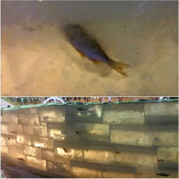 Кировский ледовый городок с «сюрпризом»