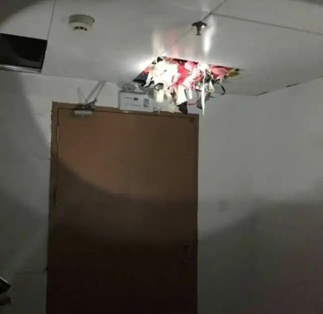 Вор хранил 2000 предметов женского нижнего белья над потолком