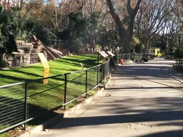 В Барселоне мужчина прыгнул в вольер со львами