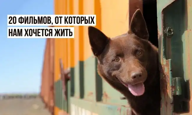 20 фильмов, от которых нам хочется жить