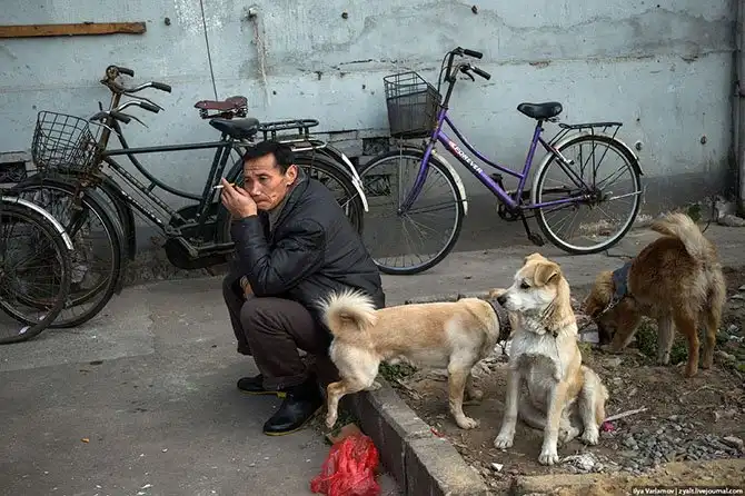 Прогулка по Шанхаю