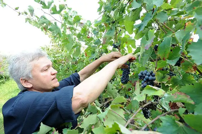 Путешествие по «идеальному городу Ренессанса» Саббьонете