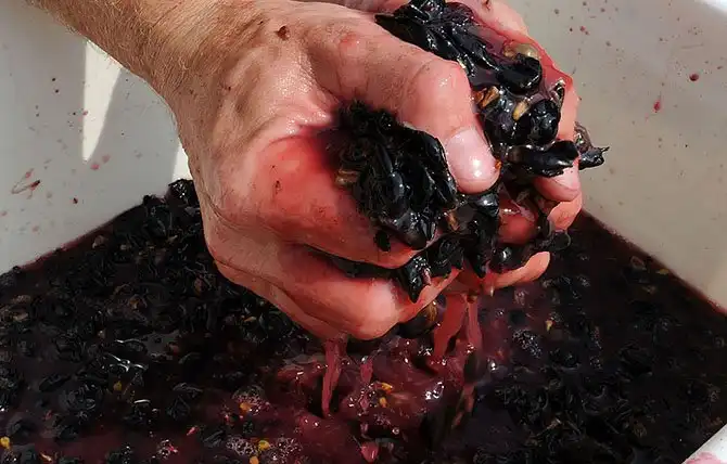 Путешествие по «идеальному городу Ренессанса» Саббьонете