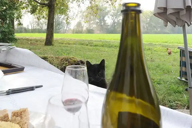 Путешествие по «идеальному городу Ренессанса» Саббьонете