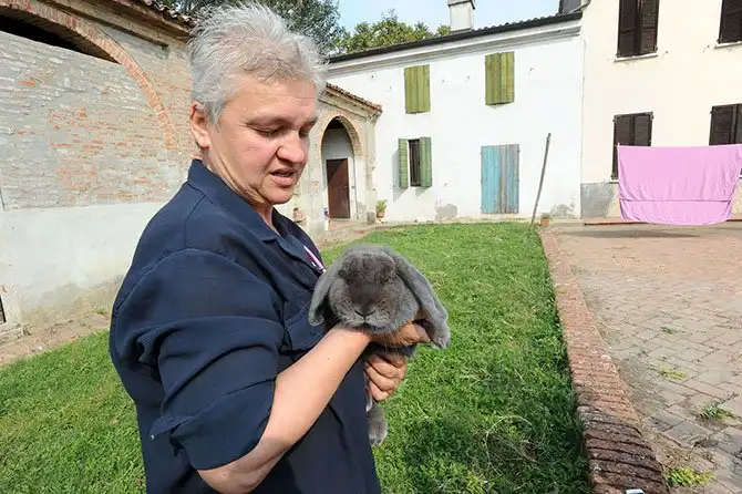 Путешествие по «идеальному городу Ренессанса» Саббьонете