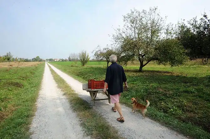 Путешествие по «идеальному городу Ренессанса» Саббьонете