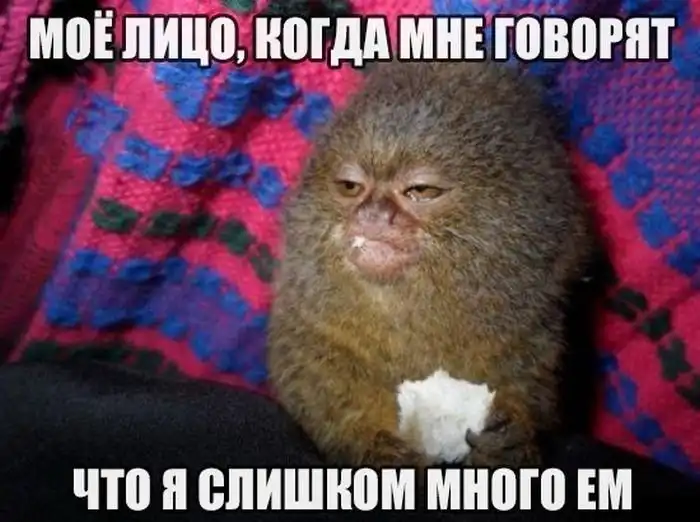 Кто-то слишком много работает. Володя так много есть!  он настоящая обжора. Он слишком много ест. Он слишком много ест. Заяц из винни пуха.