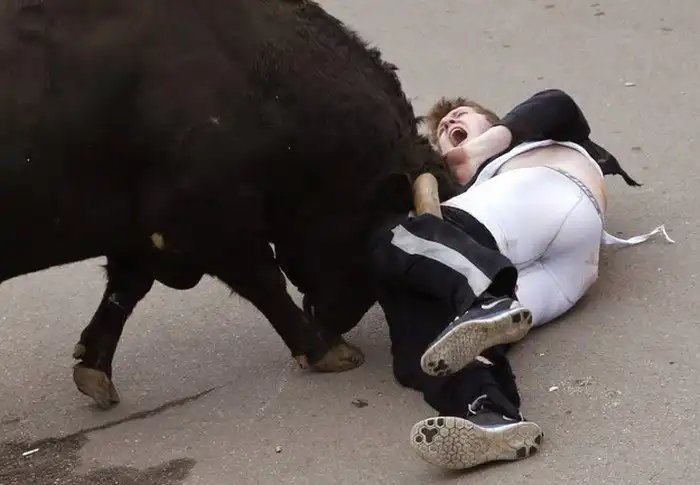 Неудачное участие в забеге быков