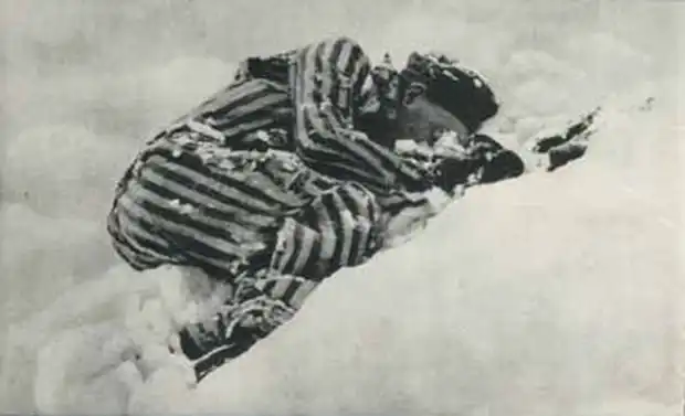 70 лет со дня «Мюльфиртельской охоты на зайцев»