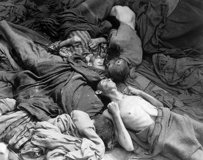 70 лет со дня «Мюльфиртельской охоты на зайцев»