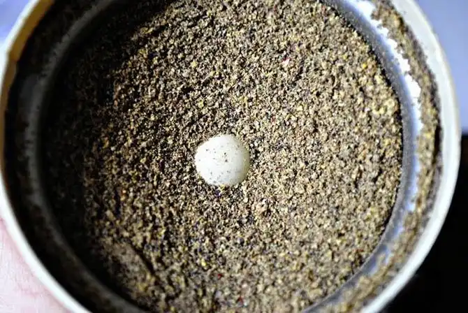 30 интересных способов использования лимона