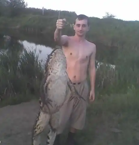 Миф о Самой большой медузе в мире