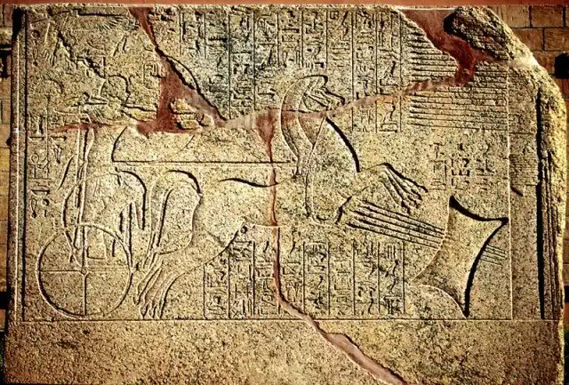 Самые интересные факты о стрельбе из лука за всю историю человечества