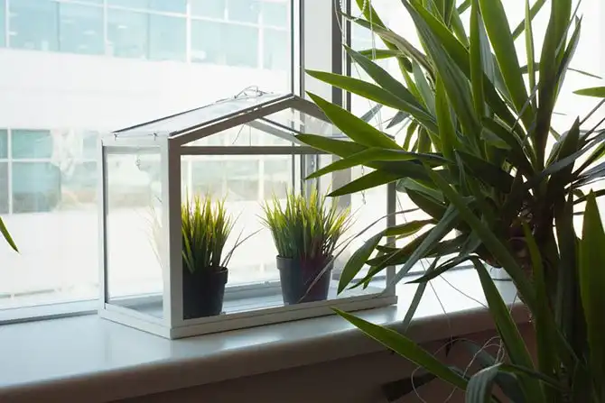 Как работают в московском офисе Microsoft