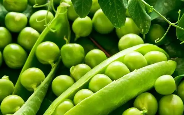 Продукты питания, которые лучше не есть перед свиданием