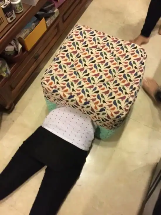 Спасение девушки, застрявшей в кошачьем домике