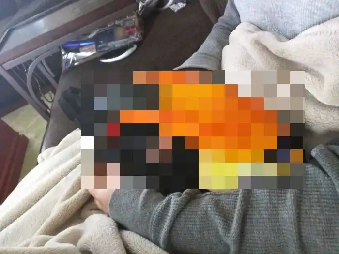 Необычный домашний питомец