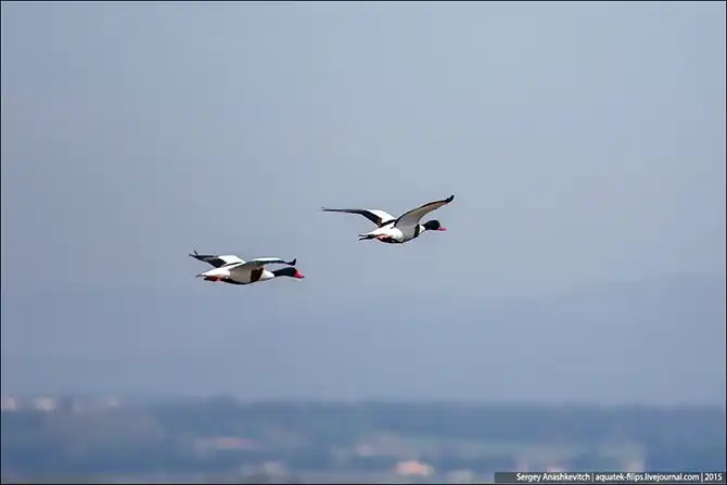 Корабль на прокат и путешествие по Франции