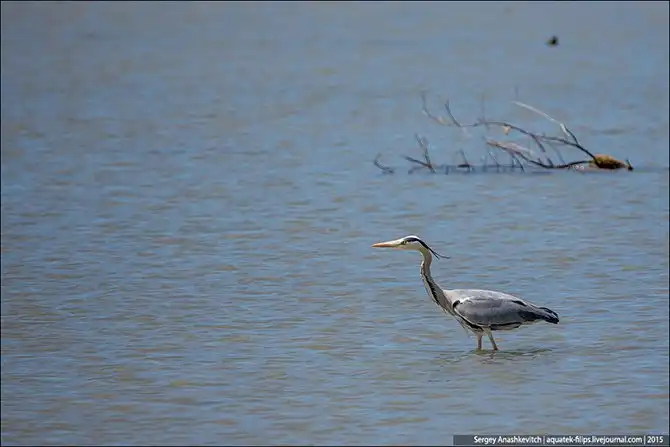 Корабль на прокат и путешествие по Франции