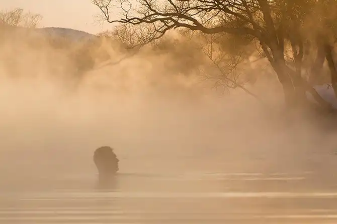 Путешествие по горячим рекам Камчатки