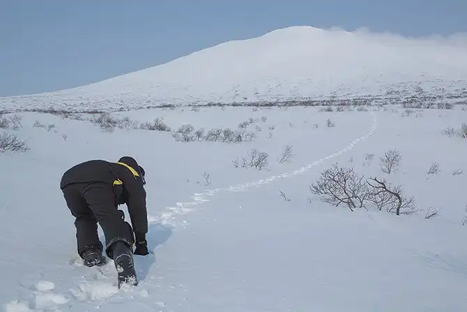 Путешествие по горячим рекам Камчатки