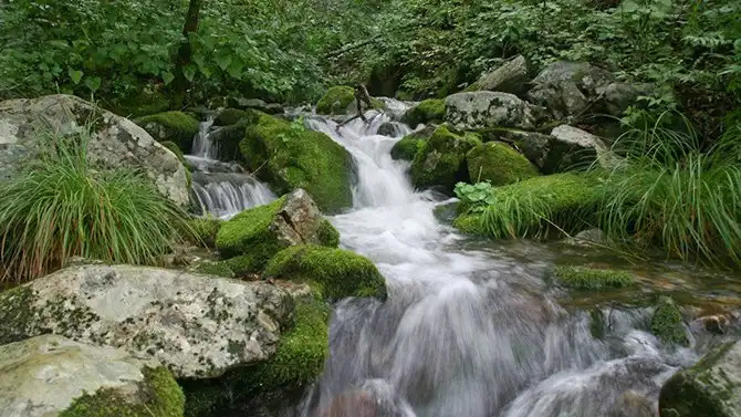 10 национальных парков и заповедников России, которые нужно посетить