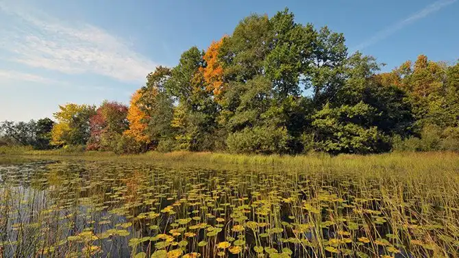 10 национальных парков и заповедников России, которые нужно посетить