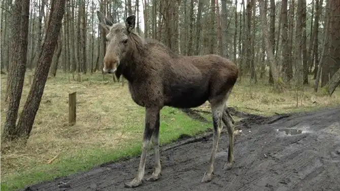 10 национальных парков и заповедников России, которые нужно посетить