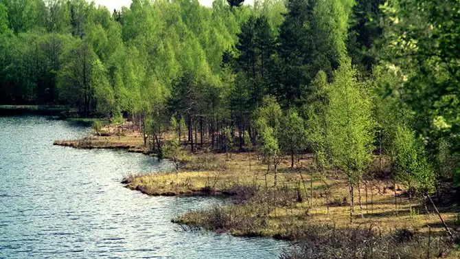 10 национальных парков и заповедников России, которые нужно посетить