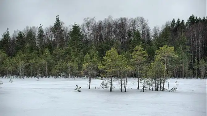 10 национальных парков и заповедников России, которые нужно посетить