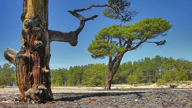 10 национальных парков и заповедников России, которые нужно посетить