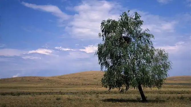 10 национальных парков и заповедников России, которые нужно посетить