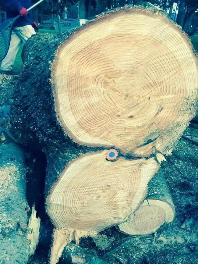 Как выглядят в разрезе разные разности