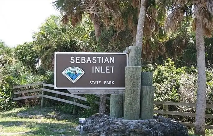 Во Флориде рысь выловила акулу из океана