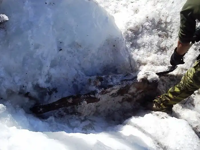 Альпинисты и члены поискового отряда раскрыли тайну Приэльбрусья времен ВОВ