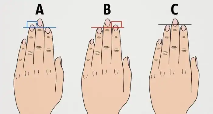 Что может сказать длина пальцев о характере человека