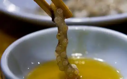 МОРСКАЯ КУХНЯ. КОГО И ГДЕ ЕДЯТ ЖИВЬЕМ