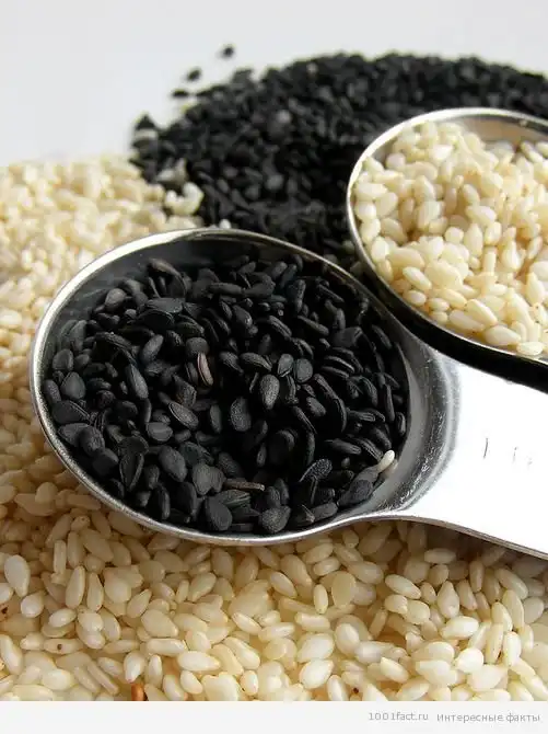 Немного фактов о сезаме