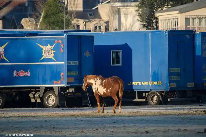 Прогулка по территории замка Шантаийи