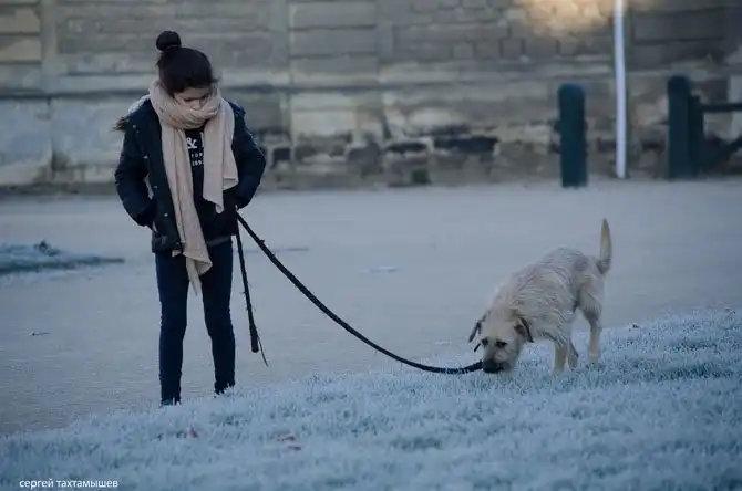 Прогулка по территории замка Шантаийи